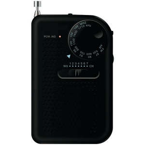  Portable AM/FM Radio (Black)